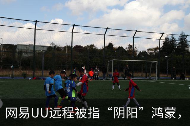 网易UU远程被指“阴阳”鸿蒙，相关动态已删除